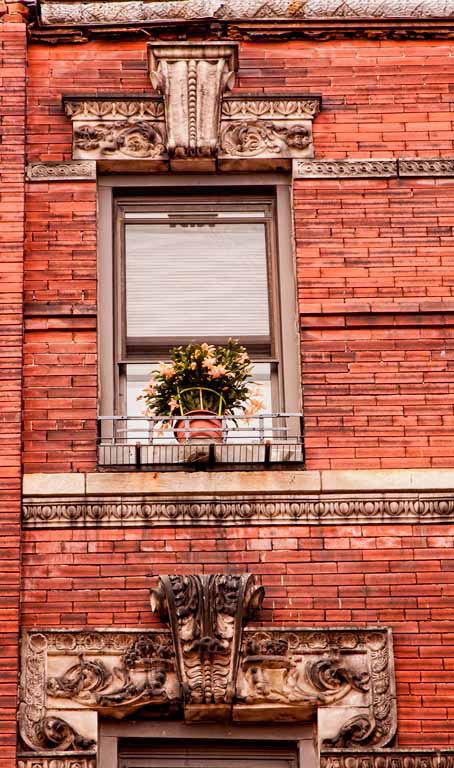Flowers and facades